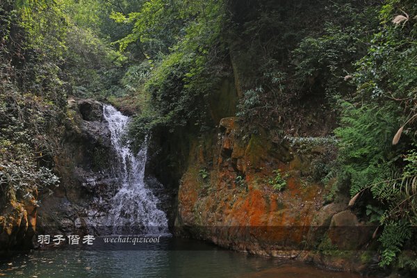 居于涟岸隐于湖,到肇庆体验离尘不离城的精致慢生活