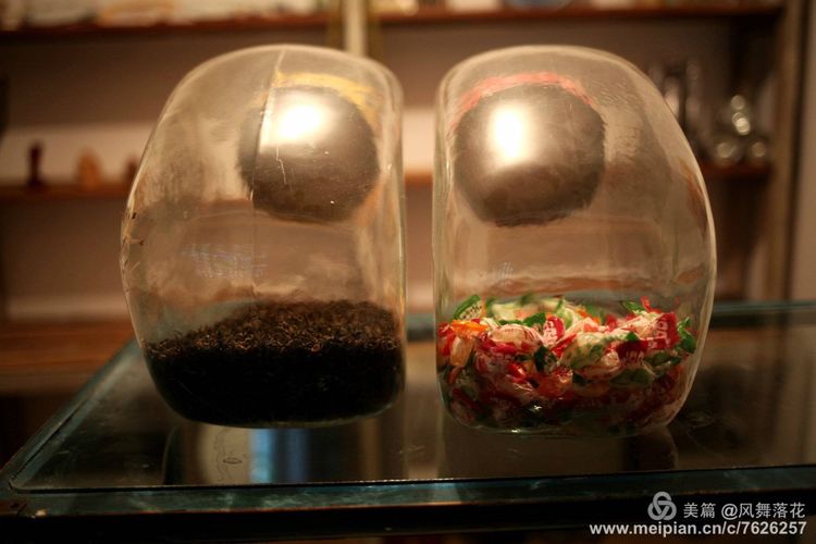 白狐千年等待只为今生相遇,白狼一生只爱一人