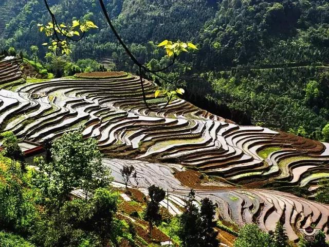 四峨梯田徒步,成都九月四姑娘山徒步一日游