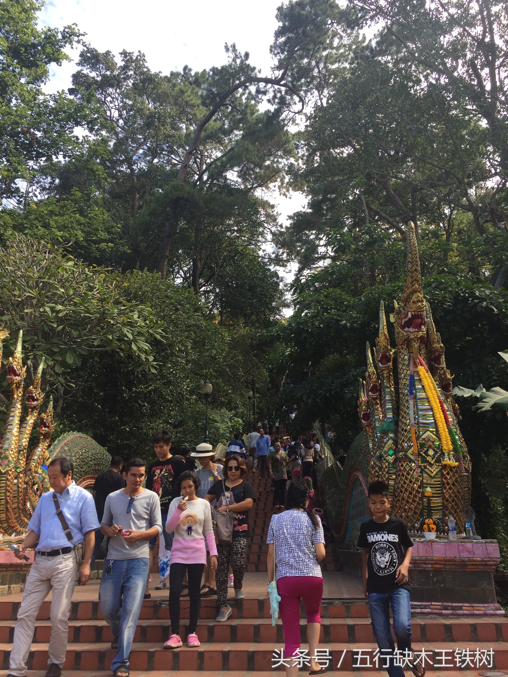 清迈夜景之双龙寺,清迈去双龙寺怎么去