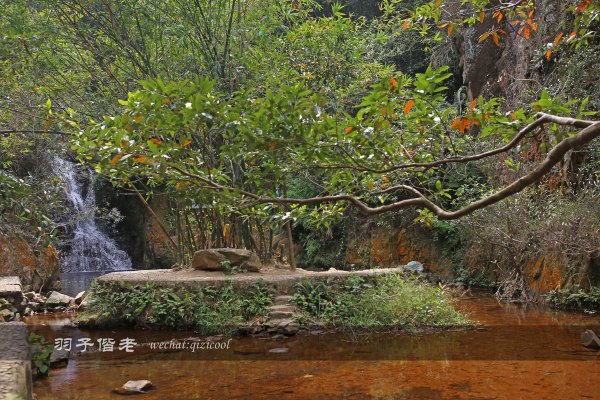 居于涟岸隐于湖,到肇庆体验离尘不离城的精致慢生活