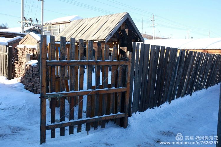 白狐千年等待只为今生相遇,白狼一生只爱一人