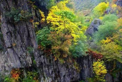 乐山每个区县名字,四川乐山省级贫困县名单