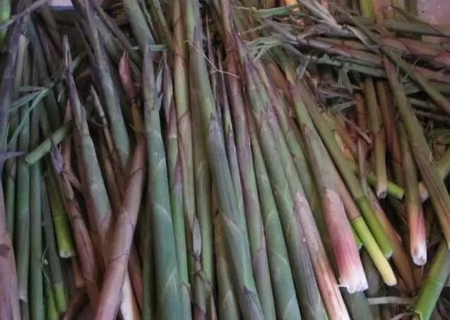 千岛湖乡间野趣如画,千岛湖踏青美景