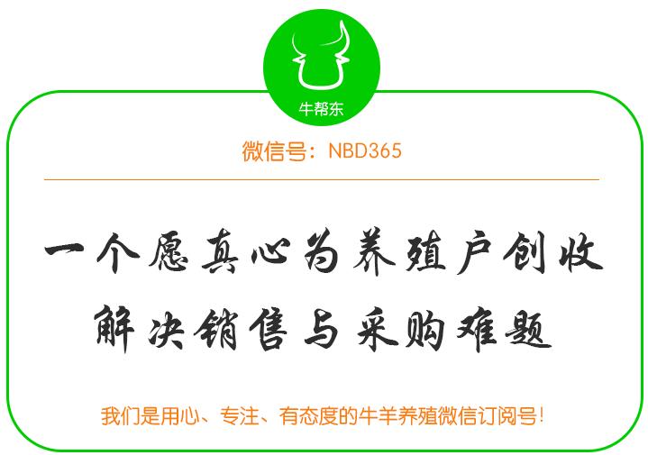 什么药预防羊感冒,感冒羊的最佳治疗方法