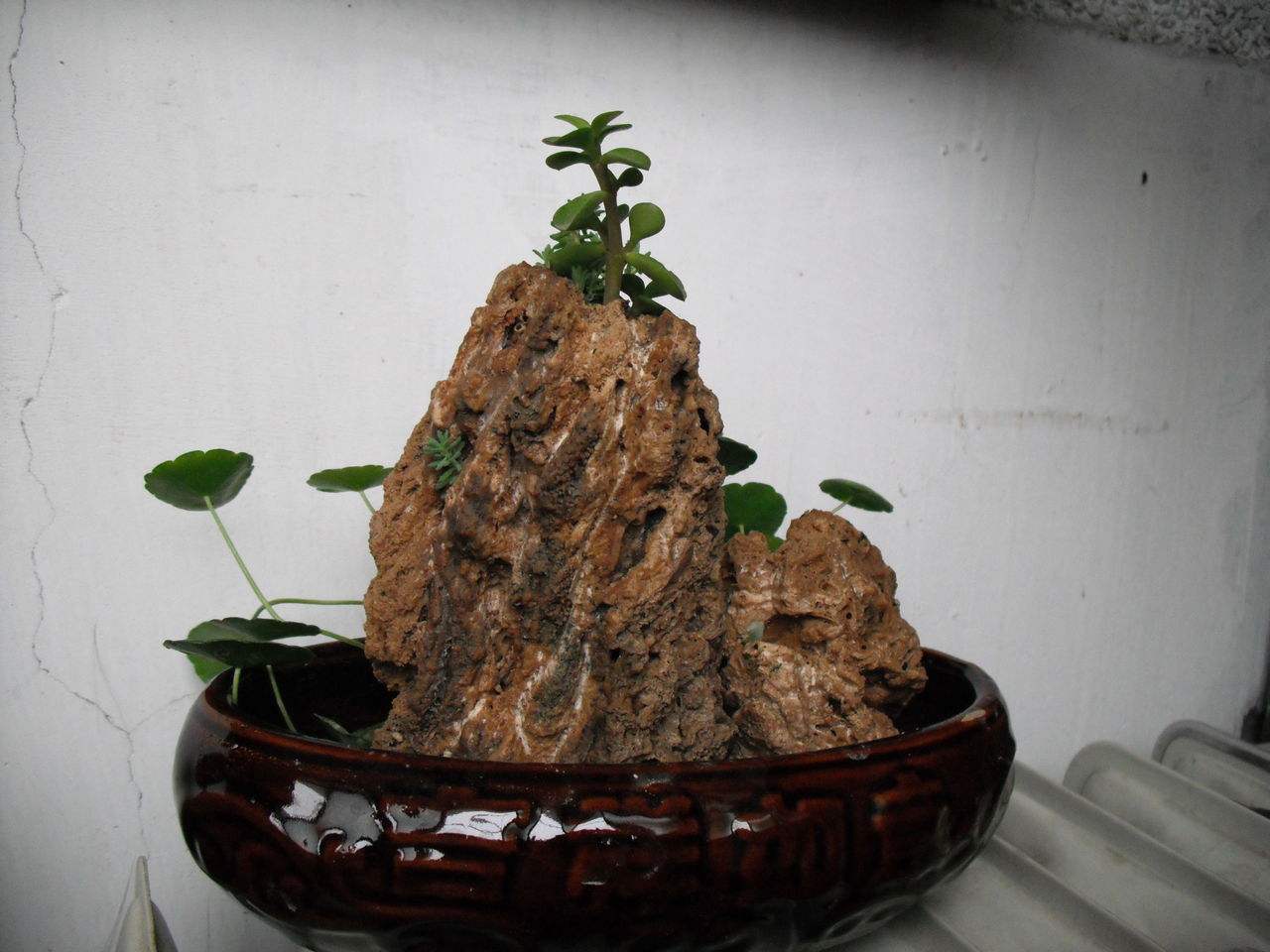 何年石上水，夜夜滴高层——再谈“上水石”