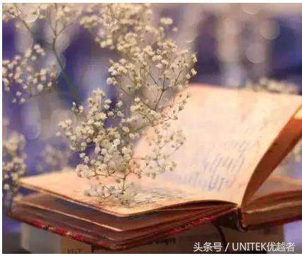 人生总是需要一点妥协,一个人不要太执拗