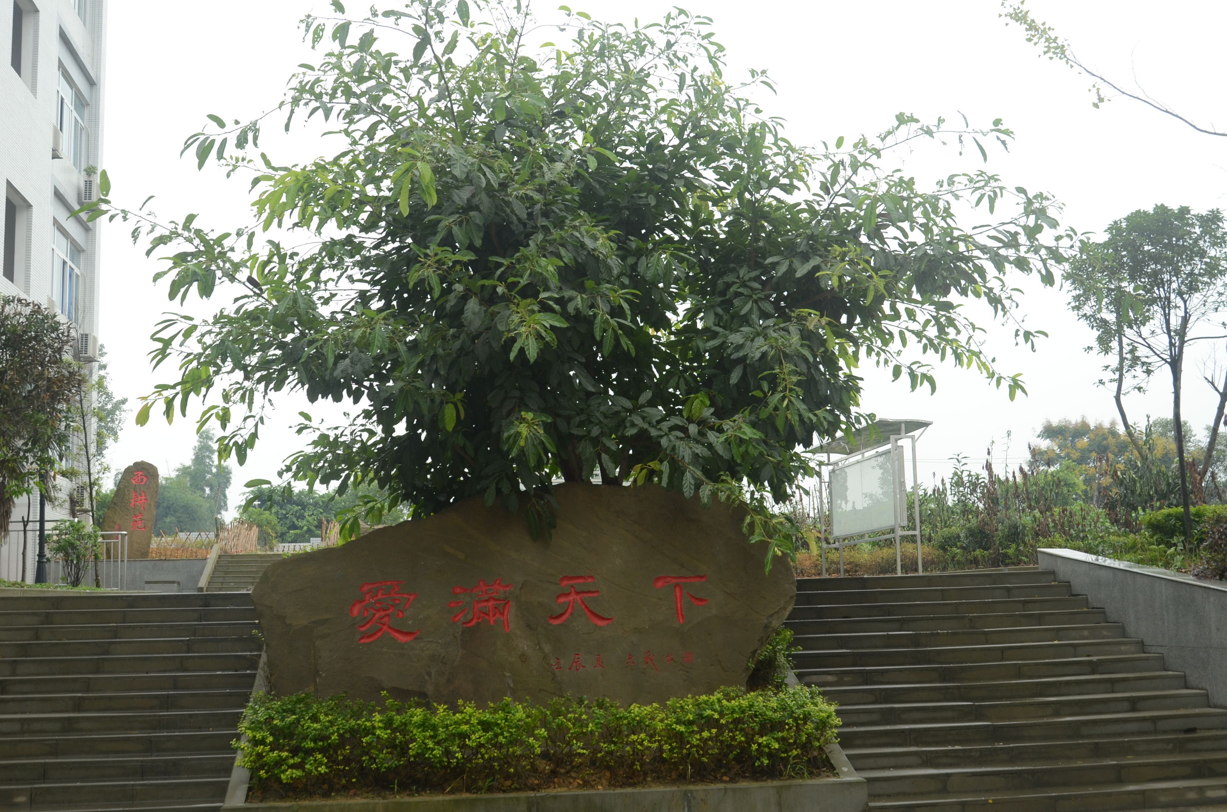 大北街小学隆昌县,隆昌大北街小学校歌