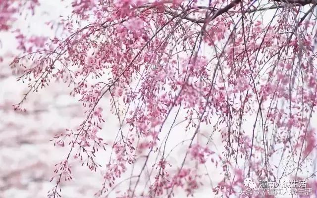 潼南附近的城市好玩的地方,潼南是不是个好地方