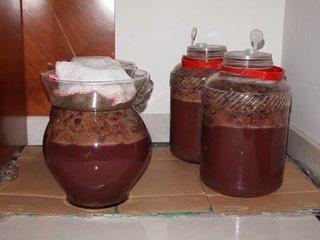 酿酒教程葡萄酒,酿酒知识简单的葡萄酒制作步骤