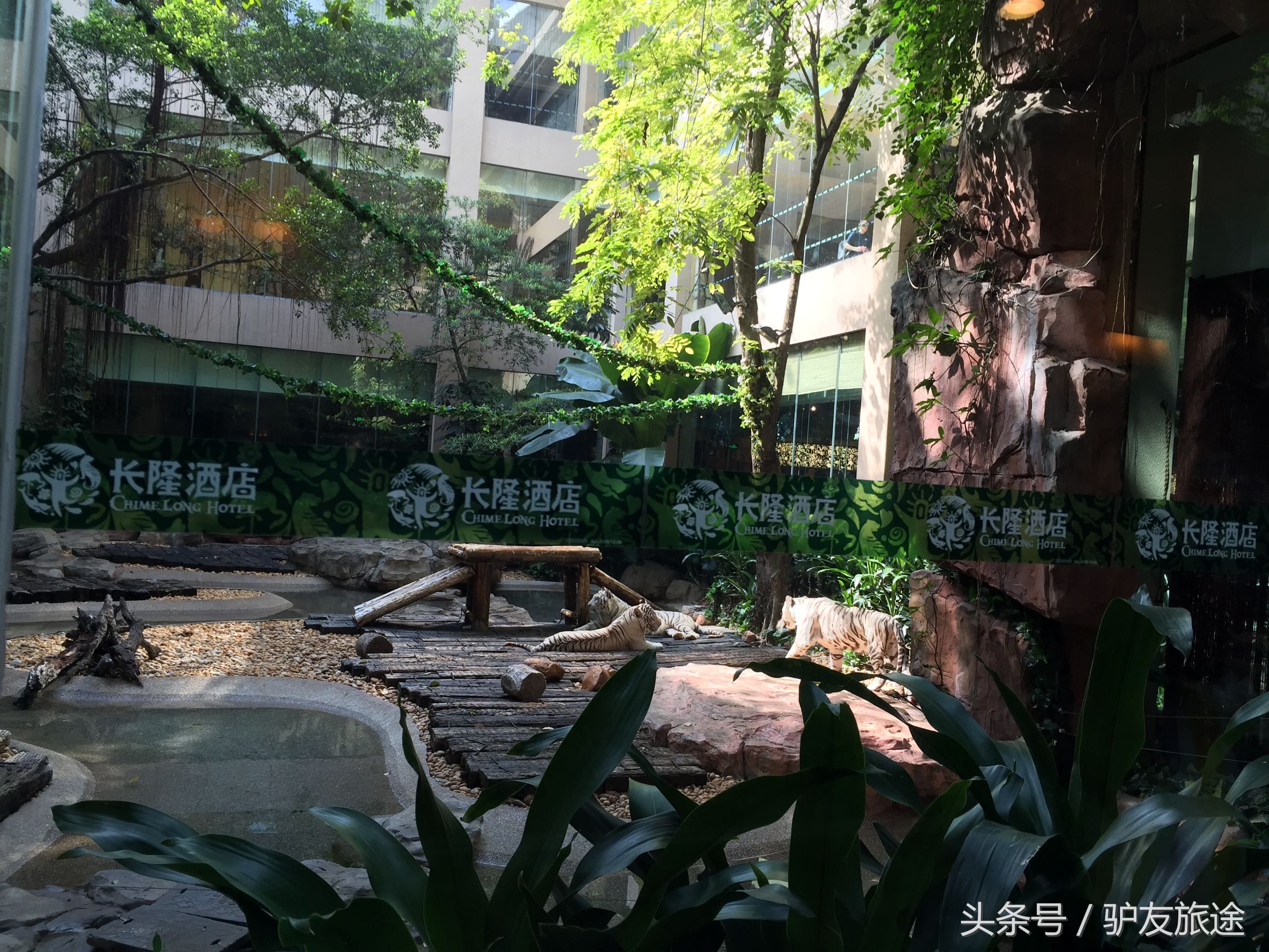 广州长隆亲子游旅行攻略,广州长隆4园2天1夜亲子游攻略