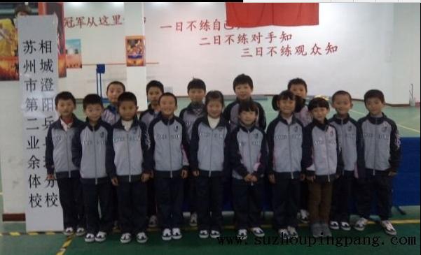 苏州相城乒乓球训练,苏州乒乓成人训练
