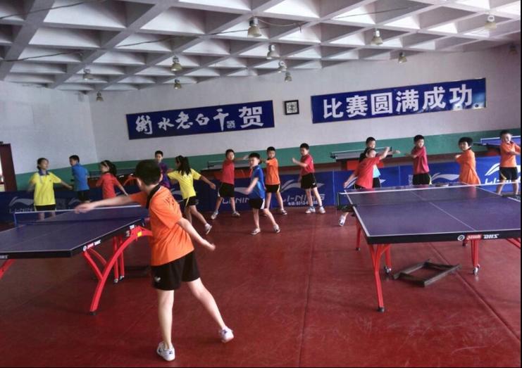 苏州相城乒乓球训练,苏州乒乓成人训练