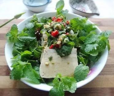 阳台薄荷种植,阳台种菜十大危害薄荷