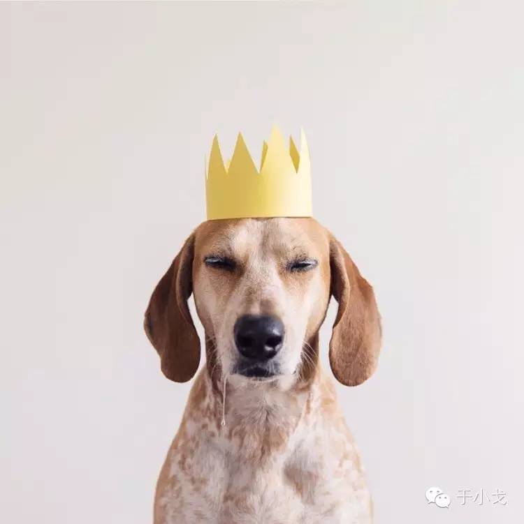 过年什么礼物给父母,过年礼物哪些比较好看