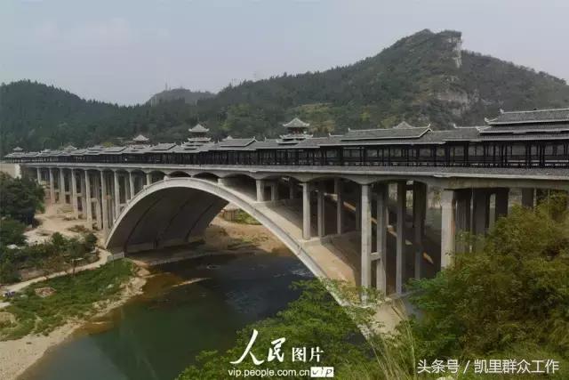 鏉ㄦ緶璐靛窞,鏉ㄦ緶鑻楁棌