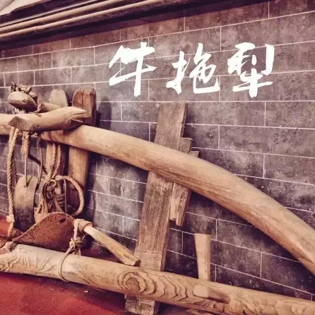 番禺钟村古村落,番禺钟村最好的村子