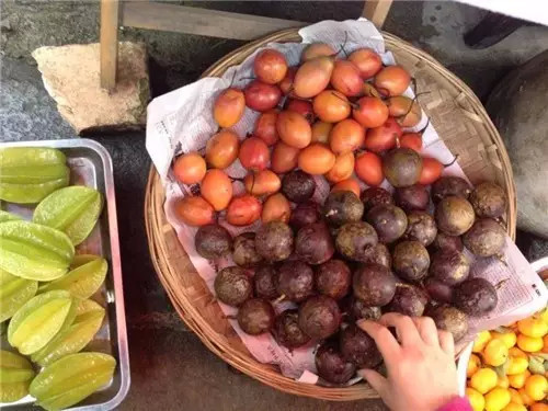 旅游攻略西双版纳美食小吃,西双版纳旅游攻略小吃