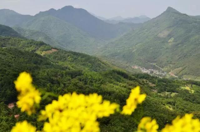 成都周边踏青二日游自驾游,春节成都看花好玩的地方推荐