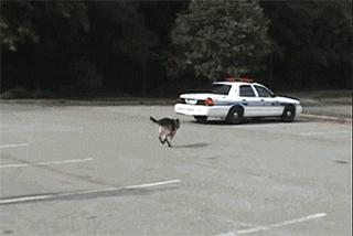 新娘:等我玩完这把联盟在和你结婚