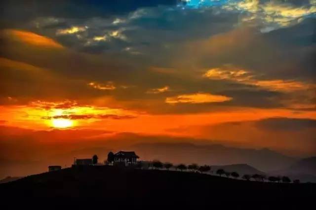 漳平茶山樱花,漳平樱花园景点