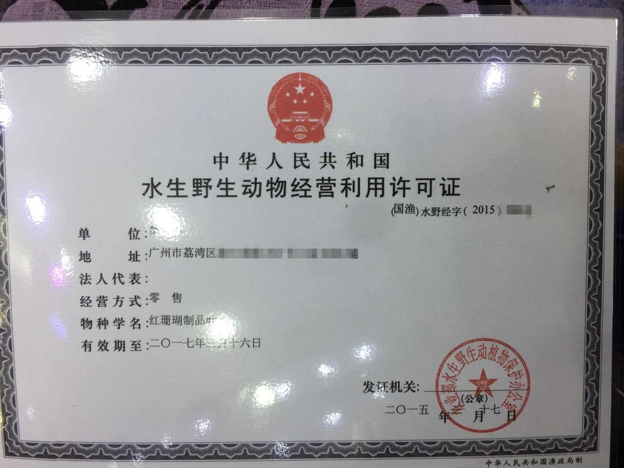 红珊瑚欢迎选购,质量最好的红珊瑚