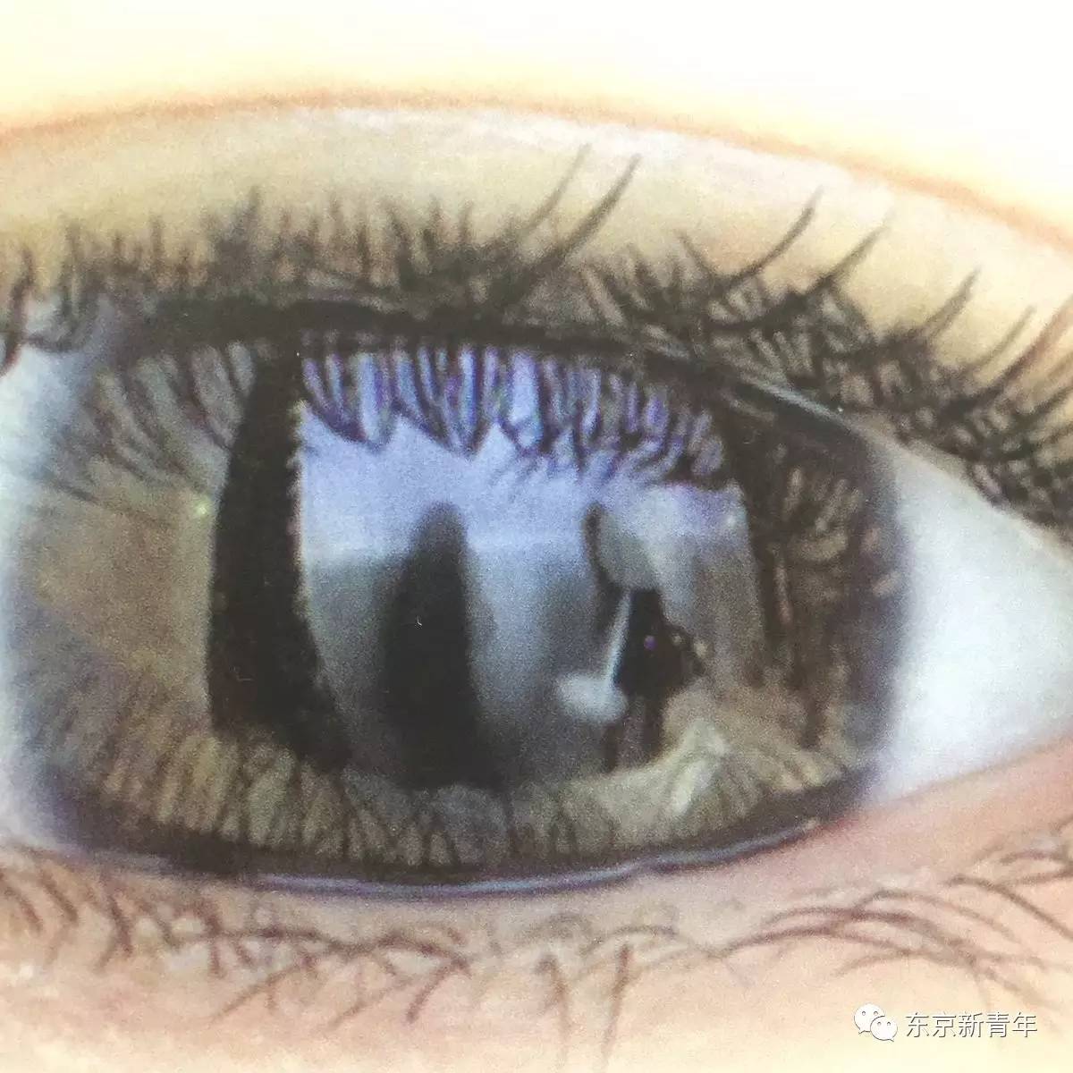 新垣结衣雪肌精广告,新垣结衣雪肌精