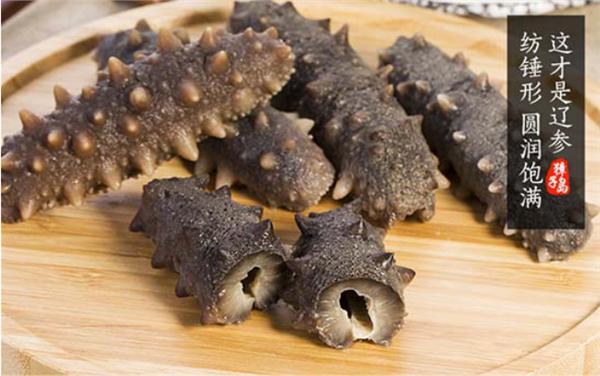 大连海参协会,大连海参商会怎么样