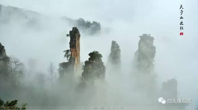 叶文智最经典的策划案例,叶文智飞越天门山策划