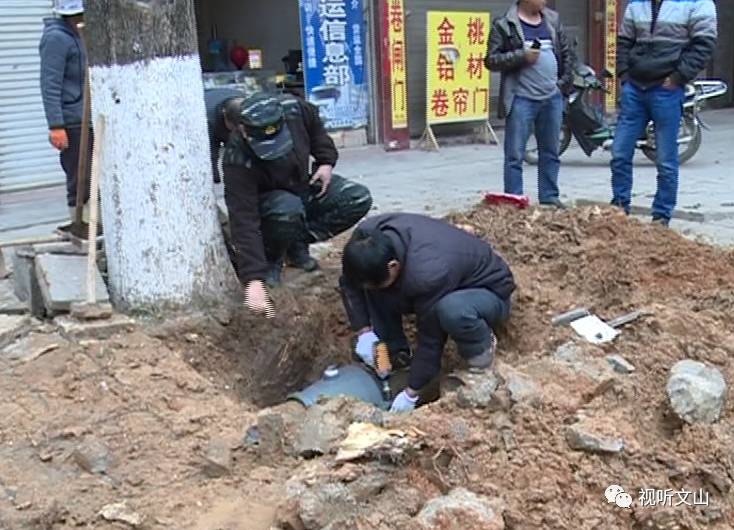广南居民区停水，原是树根水管“太缠绵”，一使劲水管被挤“哭”了