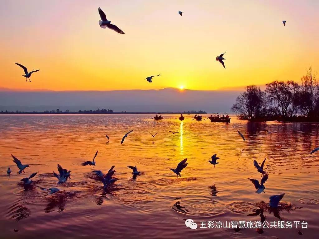 好燃是什么,好燃粤语