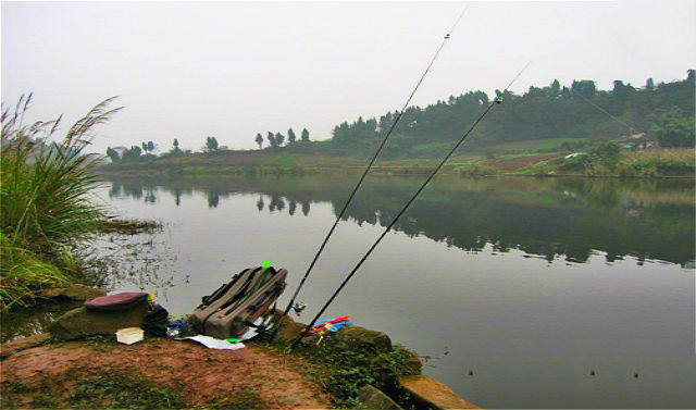 老钓鱼人经验,野钓鲶鱼技巧和方法