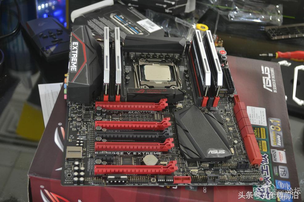 枭雄再现,枭雄再现最新小说