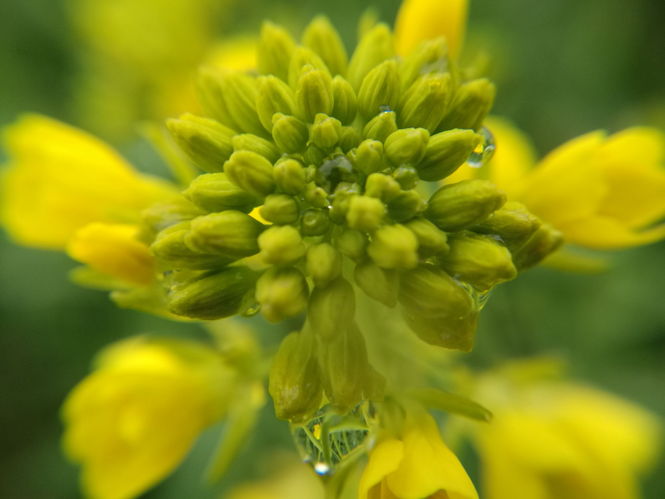 第三天，错过宿营地！「千里走单骑X2」零经验骑行者的日记！