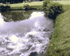 这只股票走势好，是哪支股