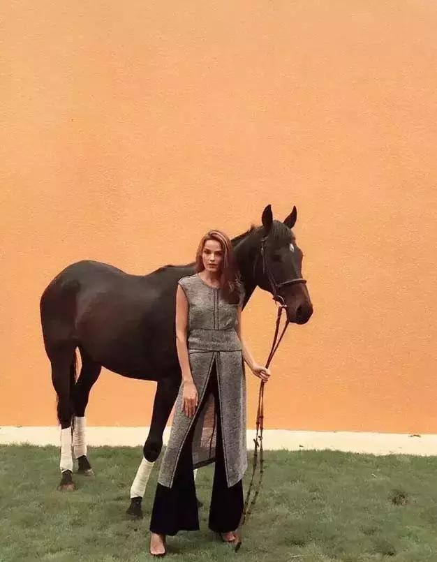 昆明二龙湖御龙马术俱乐部,贵阳市马术俱乐部