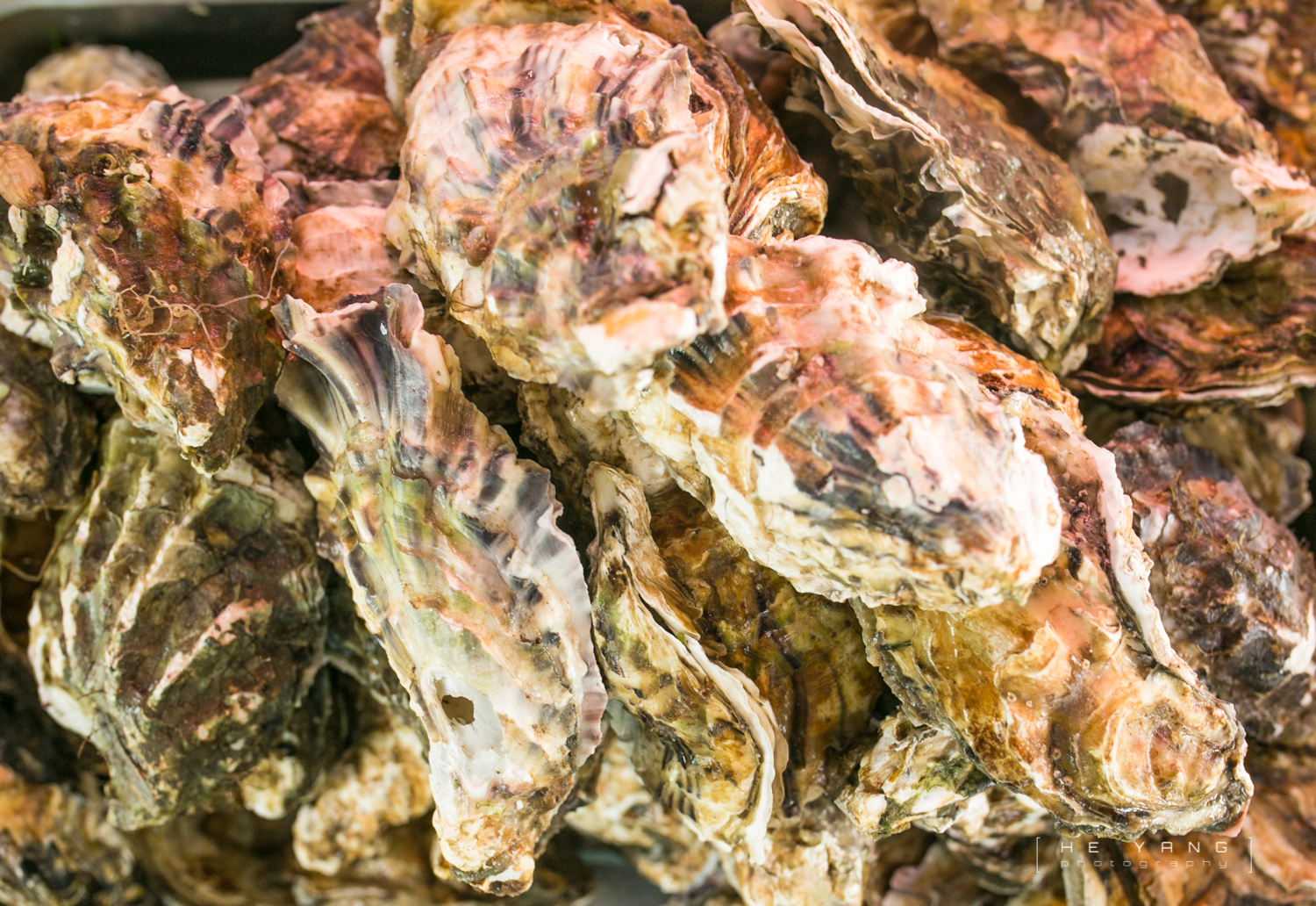 美丽的海滨城市营口鲅鱼圈,营口市鲅鱼圈十年变化