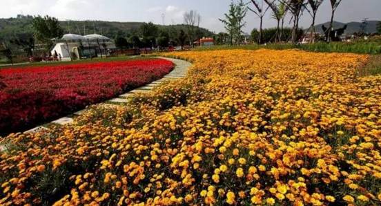 江油值得一逛,江油小城美不美