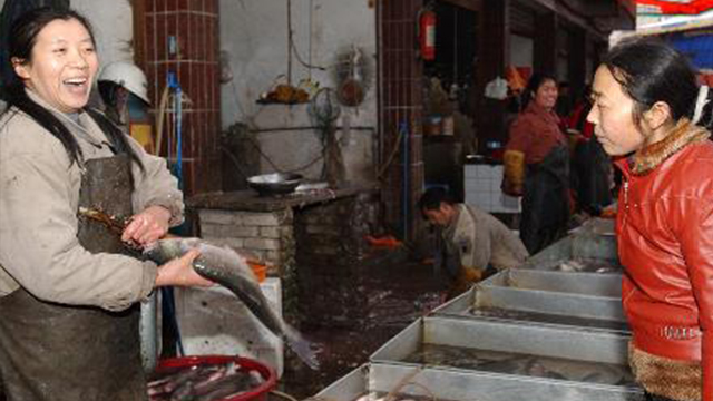 鱼肚子里有黑膜和水质有关系吗,鱼腮黑膜