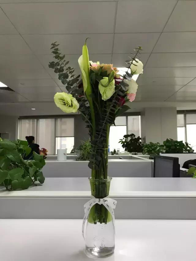 我们用1000元的教训告诉你:包月鲜花全是坑!一家都不推荐!