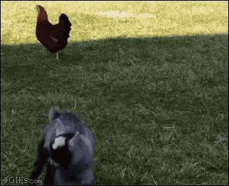 家里穷是种什么样的体验 (我们还很穷能买什么车)