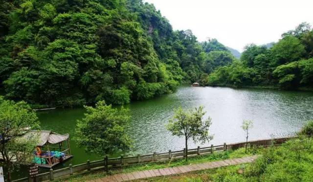 成都周边踏青二日游自驾游,春节成都看花好玩的地方推荐