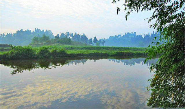 老钓鱼人经验,野钓鲶鱼技巧和方法