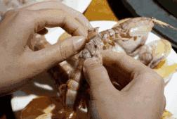 揭秘｜别骑皮皮虾了！贵阳这些吃虾的好地方你晓得不？