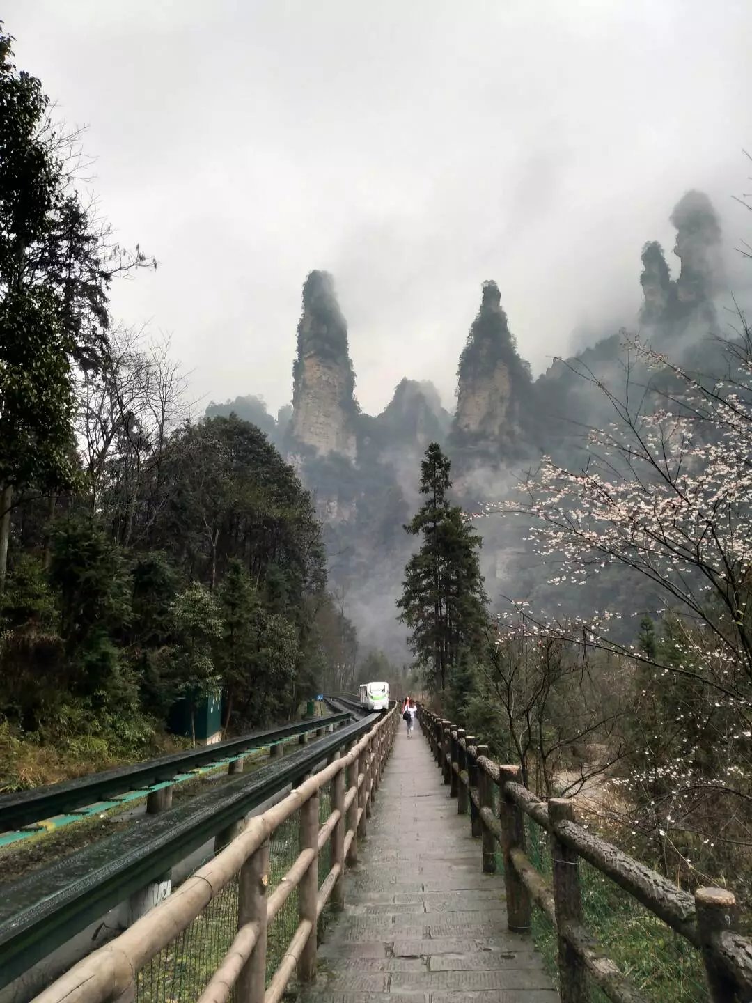 老人湖南旅游攻略,湘西旅游攻略中老年游玩