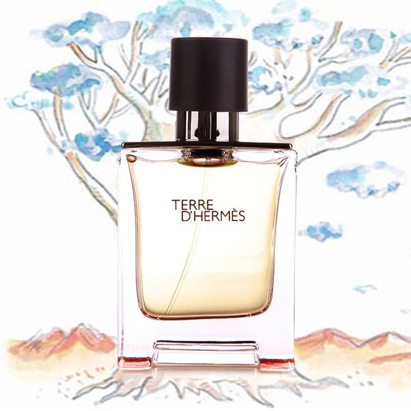 法国的大牌香水,法国香水品牌排行榜前十名