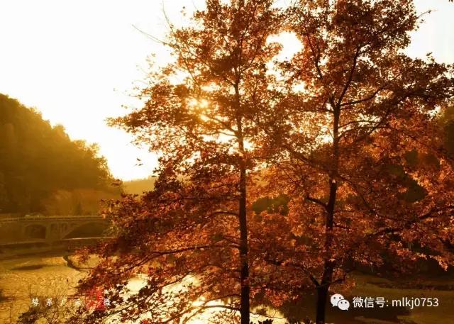 以二十四节气之名，诠释梅州之美