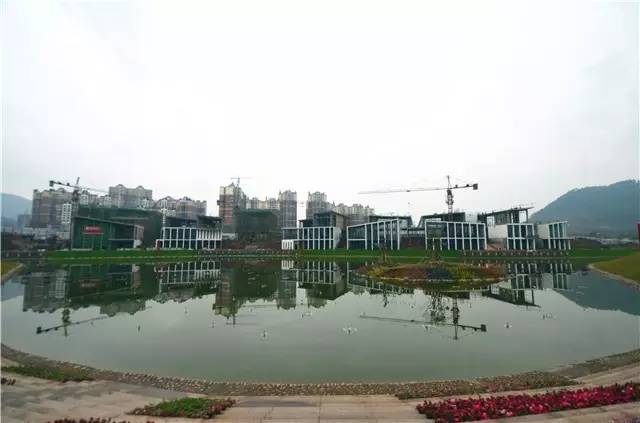 临港为什么那么多公园,宜宾临港公园