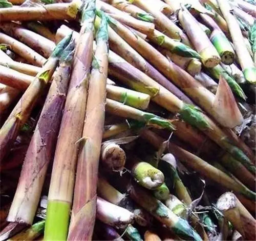 旅游攻略西双版纳美食小吃,西双版纳旅游攻略小吃