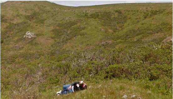 谷歌地图有什么神奇之处,谷歌地图究竟隐藏着什么秘密